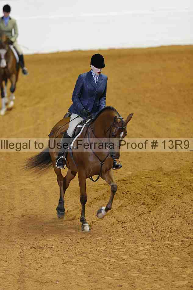 Proof 13r9_2291