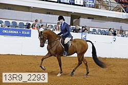 13r9_2293 proof