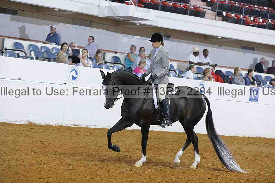 Proof 13r9_2294