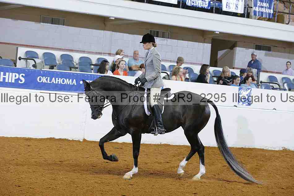 Proof 13r9_2295