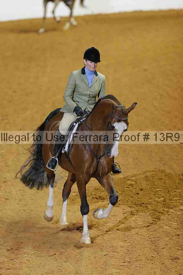 Proof 13r9_2296