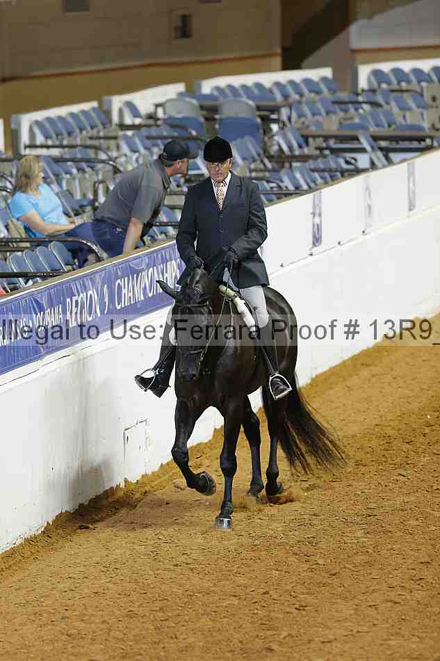 Proof 13r9_2302
