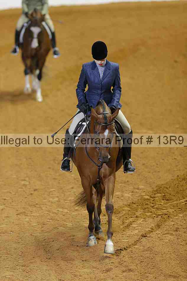 Proof 13r9_2303