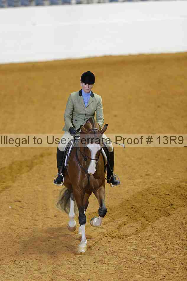 Proof 13r9_2304
