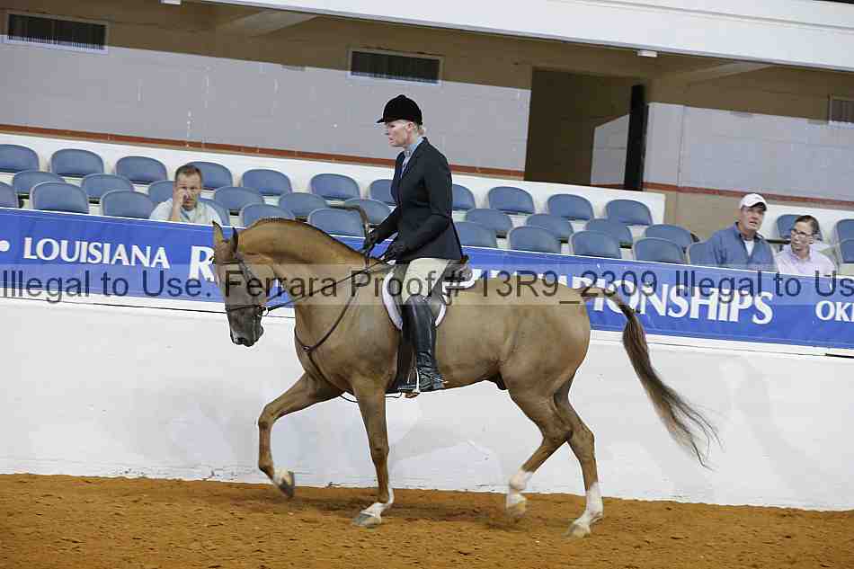 Proof 13r9_2309