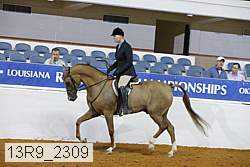13r9_2309 proof