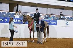 13r9_2311 proof