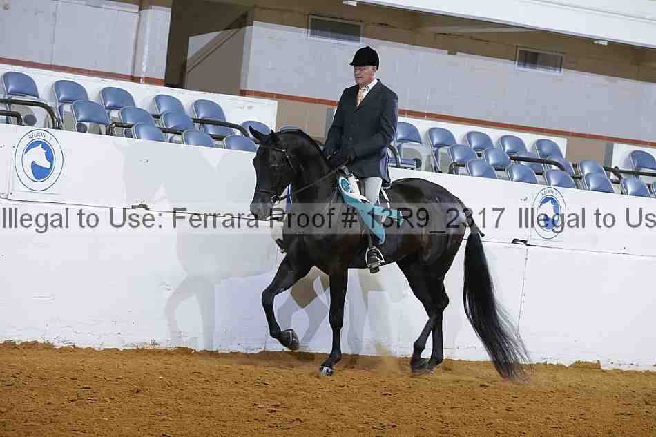 Proof 13r9_2317