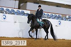 13r9_2317 proof