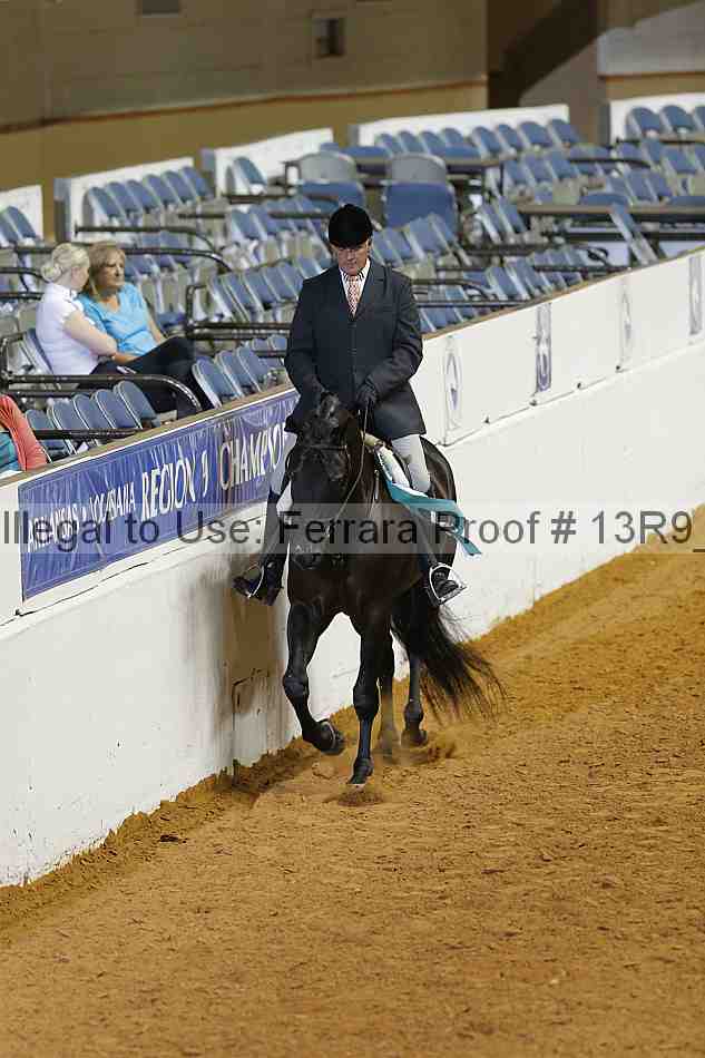 Proof 13r9_2320