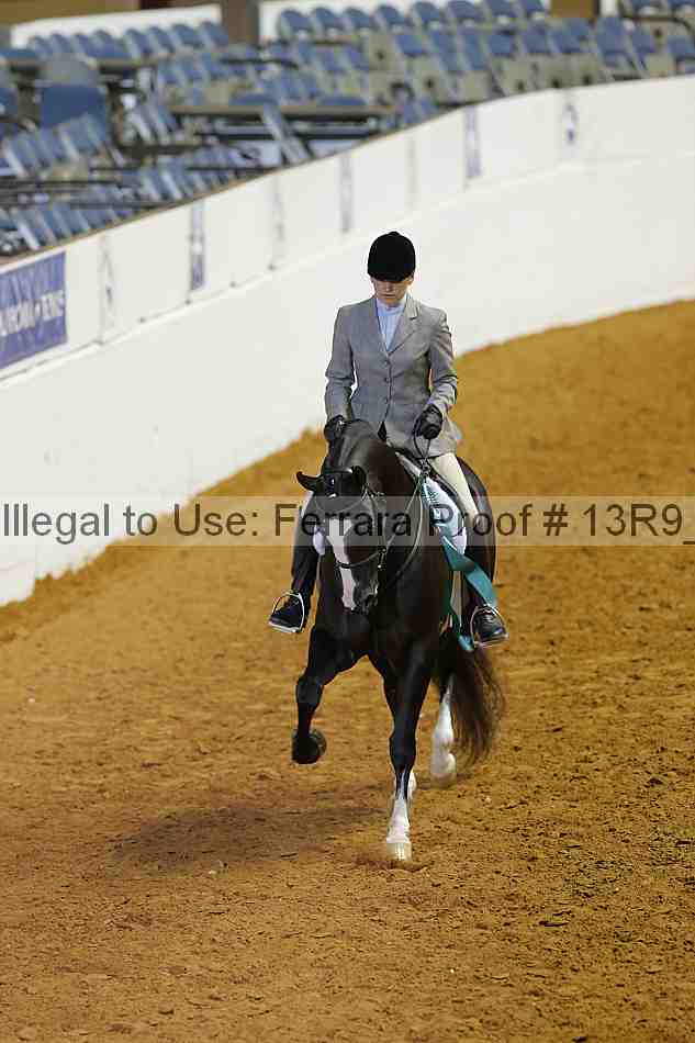 Proof 13r9_2325
