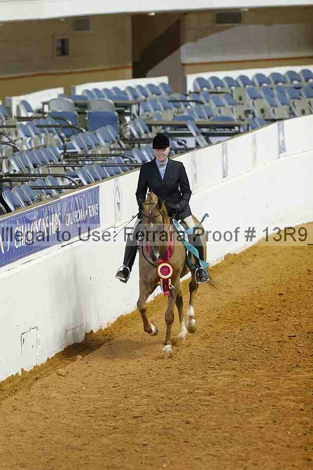 Proof 13r9_2328