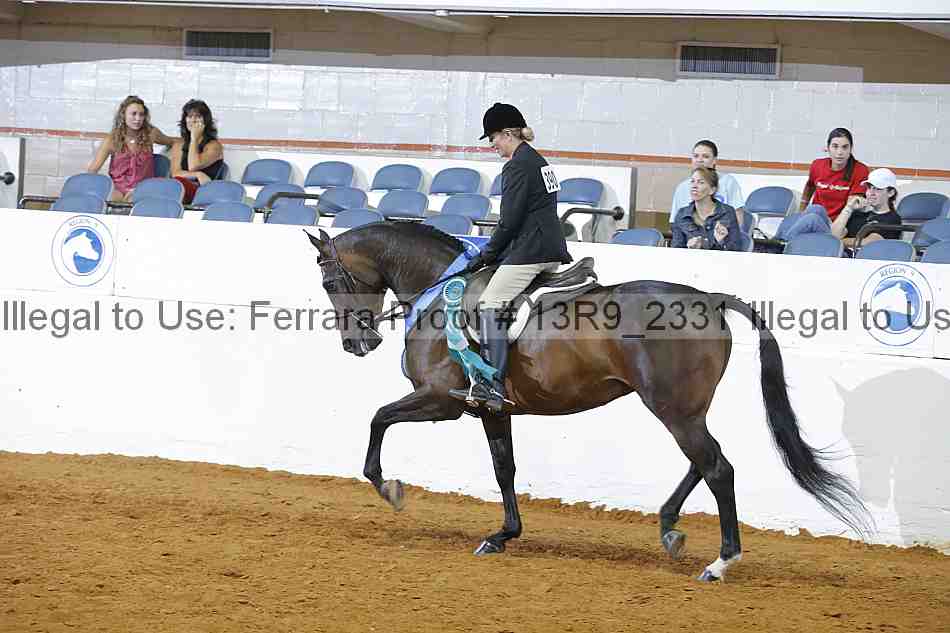 Proof 13r9_2331