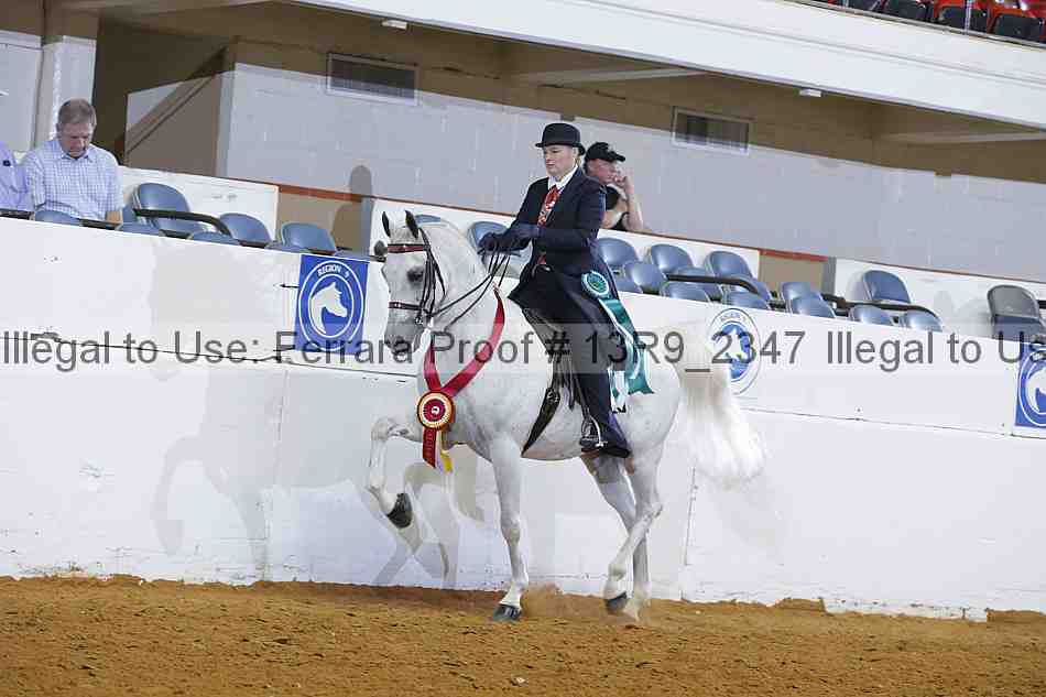 Proof 13r9_2347