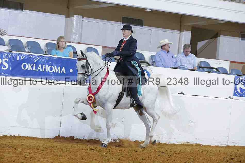Proof 13r9_2348