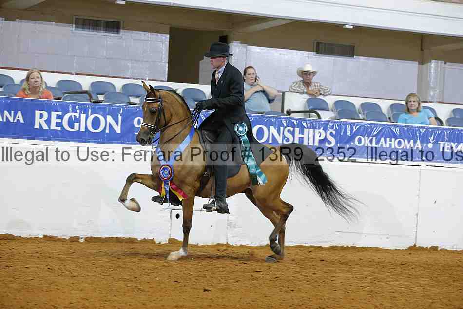 Proof 13r9_2352
