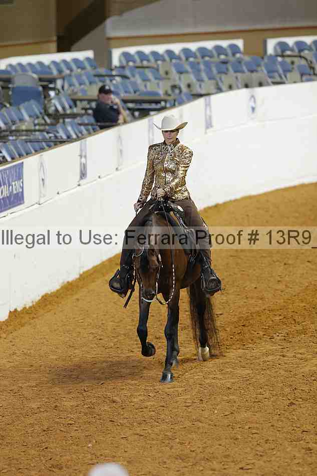 Proof 13r9_2355