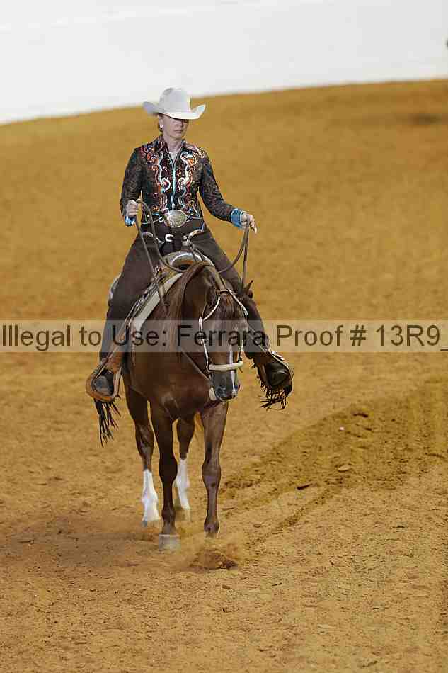 Proof 13r9_2365