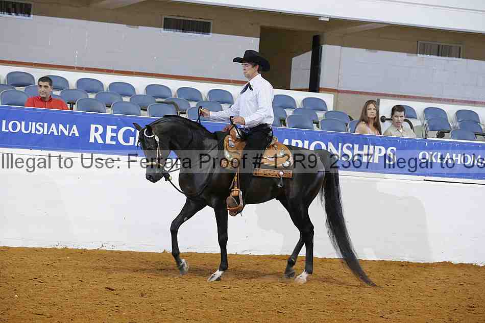 Proof 13r9_2367