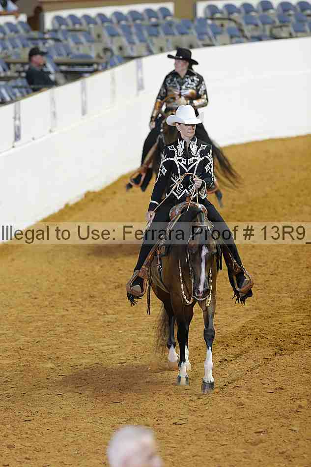 Proof 13r9_2371