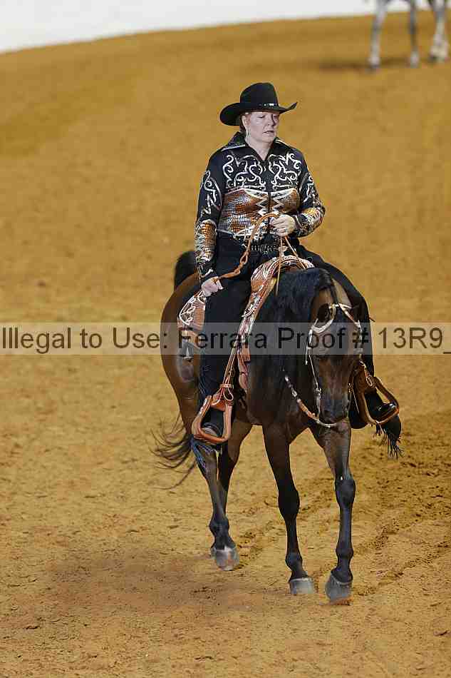 Proof 13r9_2373