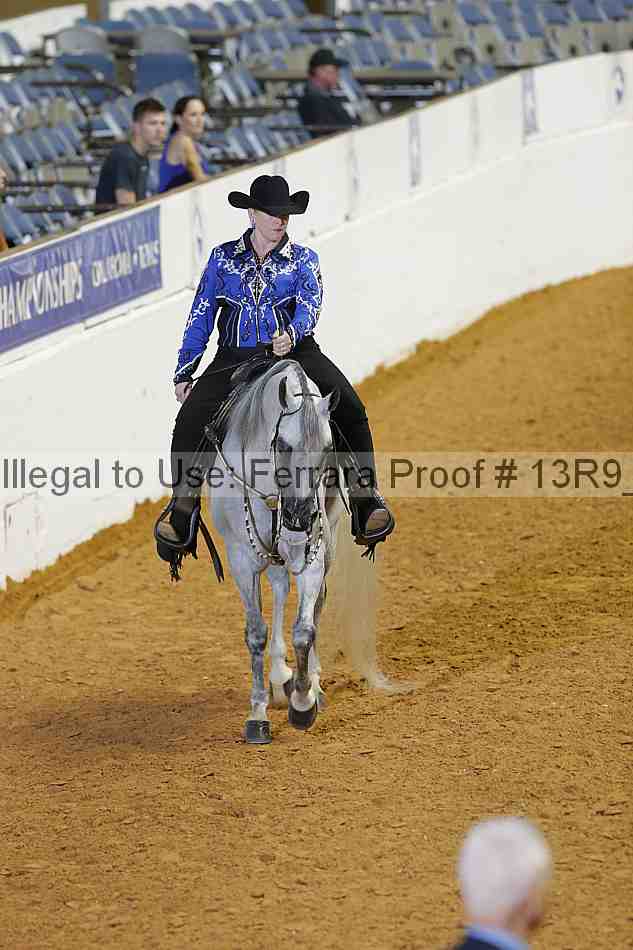 Proof 13r9_2377