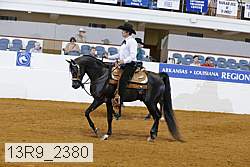 13r9_2380 proof