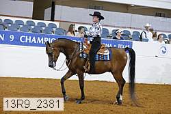 13r9_2381 proof