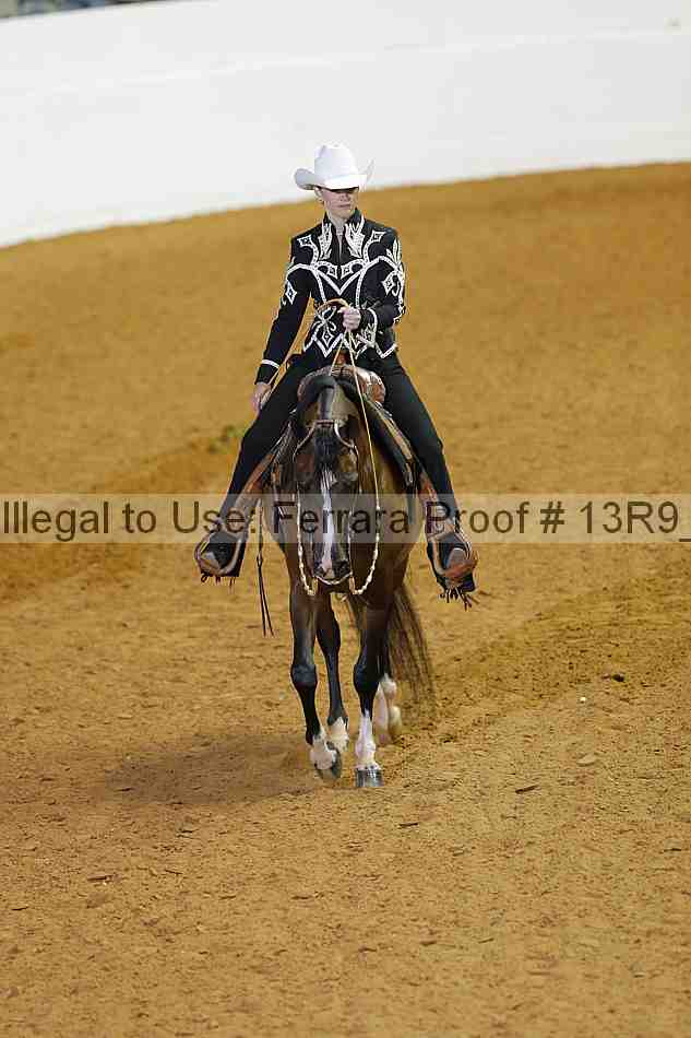 Proof 13r9_2385