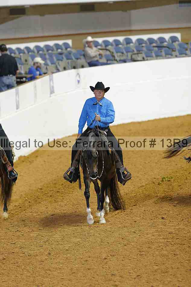 Proof 13r9_2391