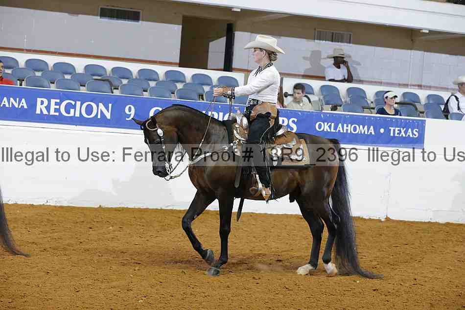 Proof 13r9_2396
