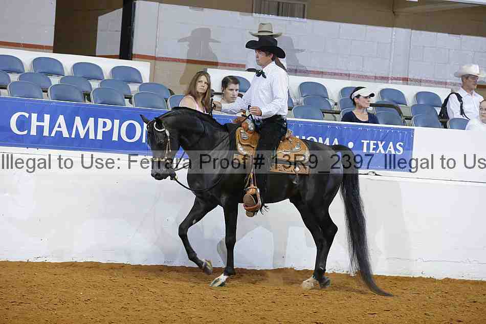 Proof 13r9_2397