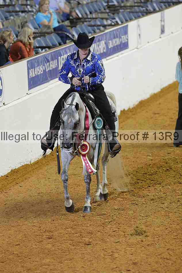 Proof 13r9_2401