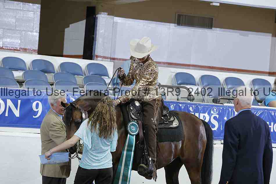 Proof 13r9_2402