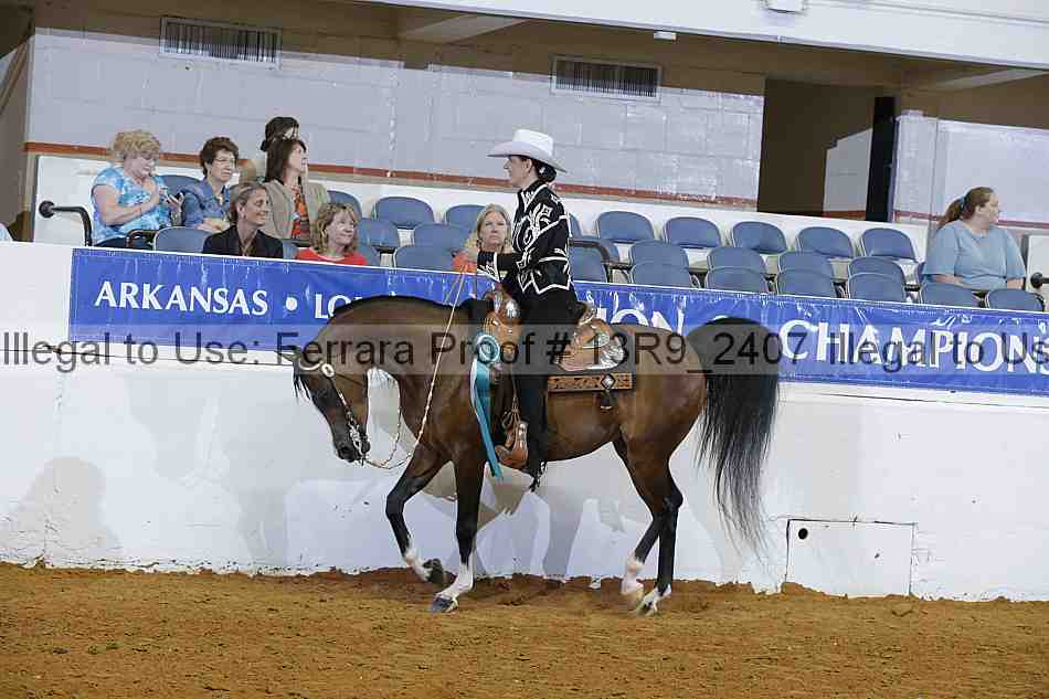 Proof 13r9_2407