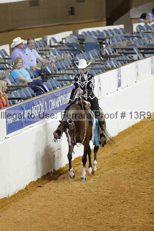 Proof 13r9_2408