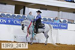 13r9_2417 proof
