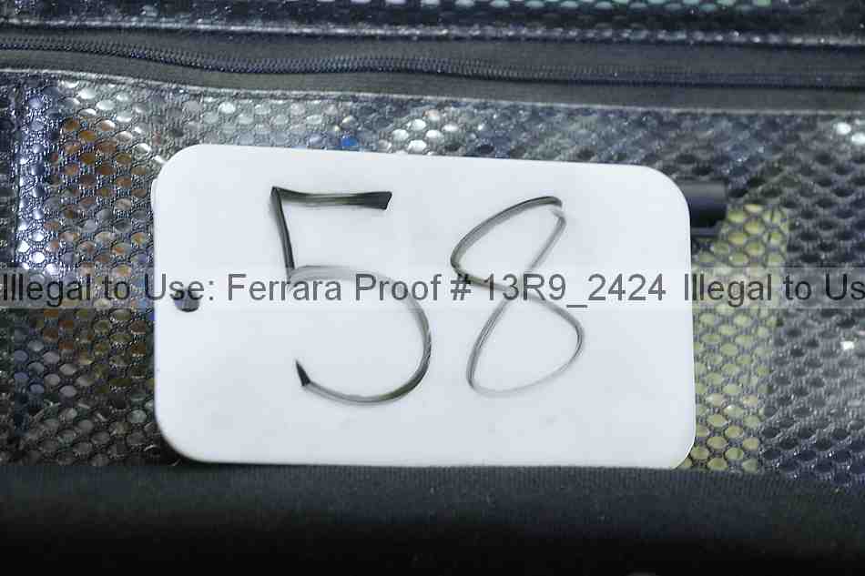 Proof 13r9_2424