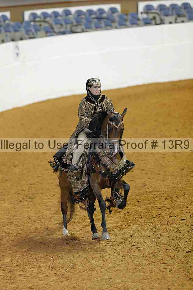 Proof 13r9_2438