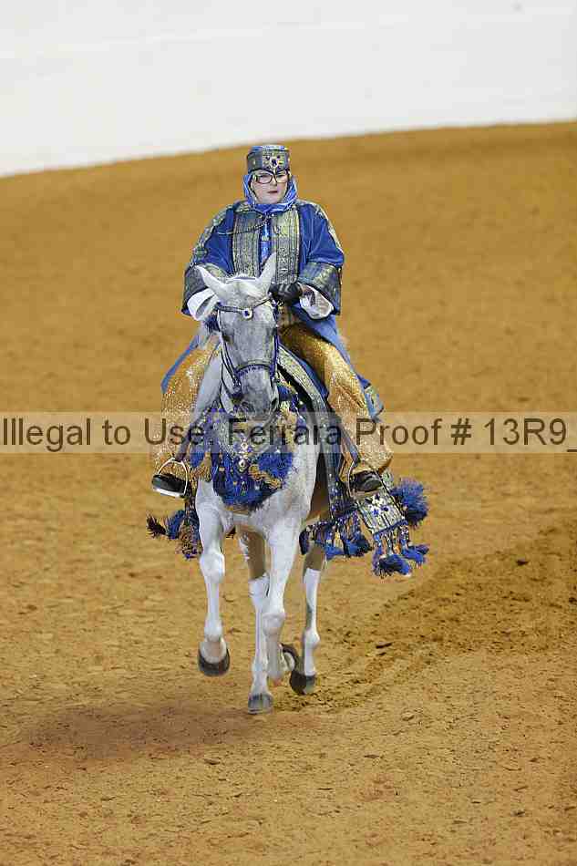 Proof 13r9_2446