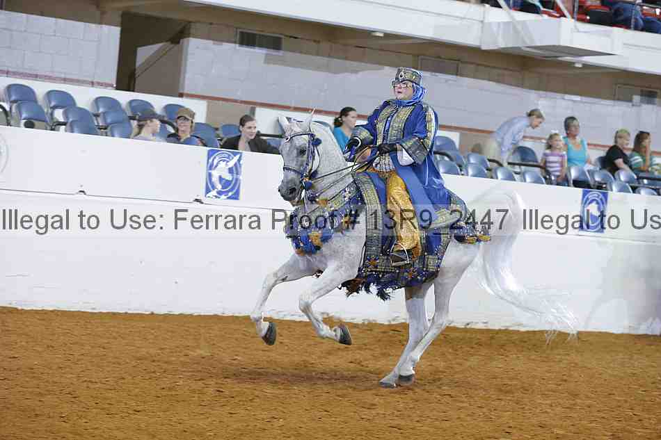Proof 13r9_2447