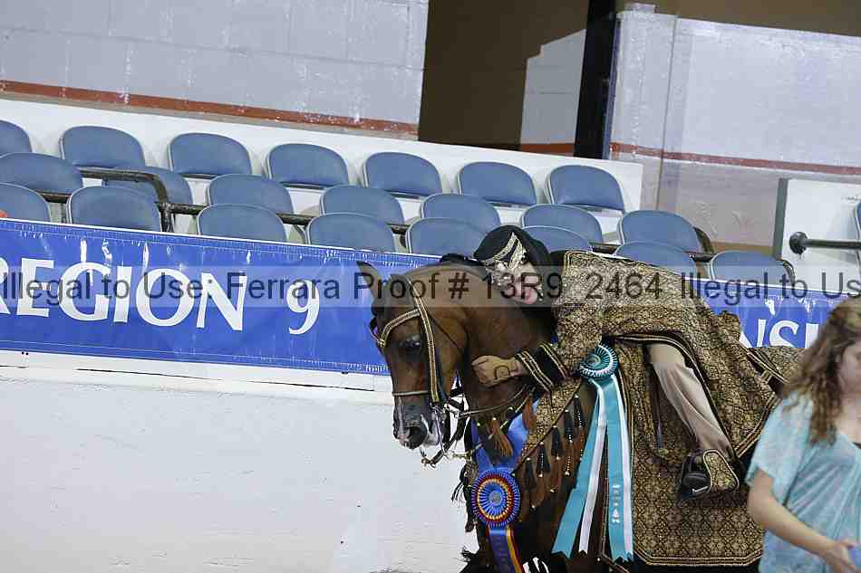 Proof 13r9_2464