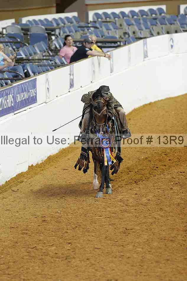 Proof 13r9_2465