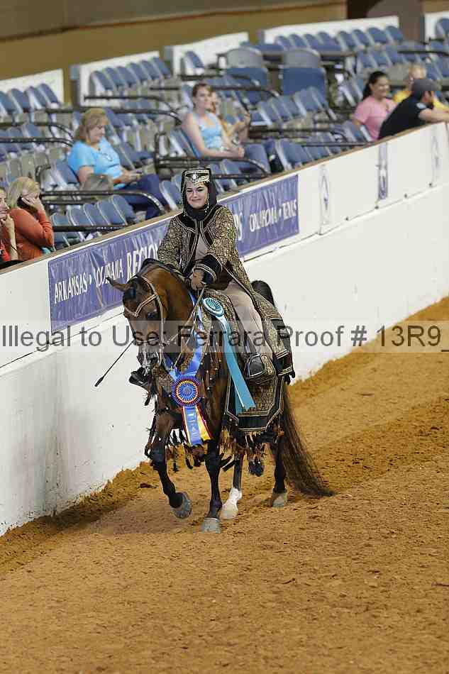 Proof 13r9_2466