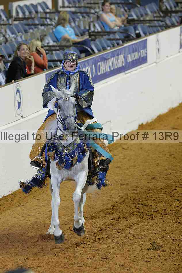Proof 13r9_2474