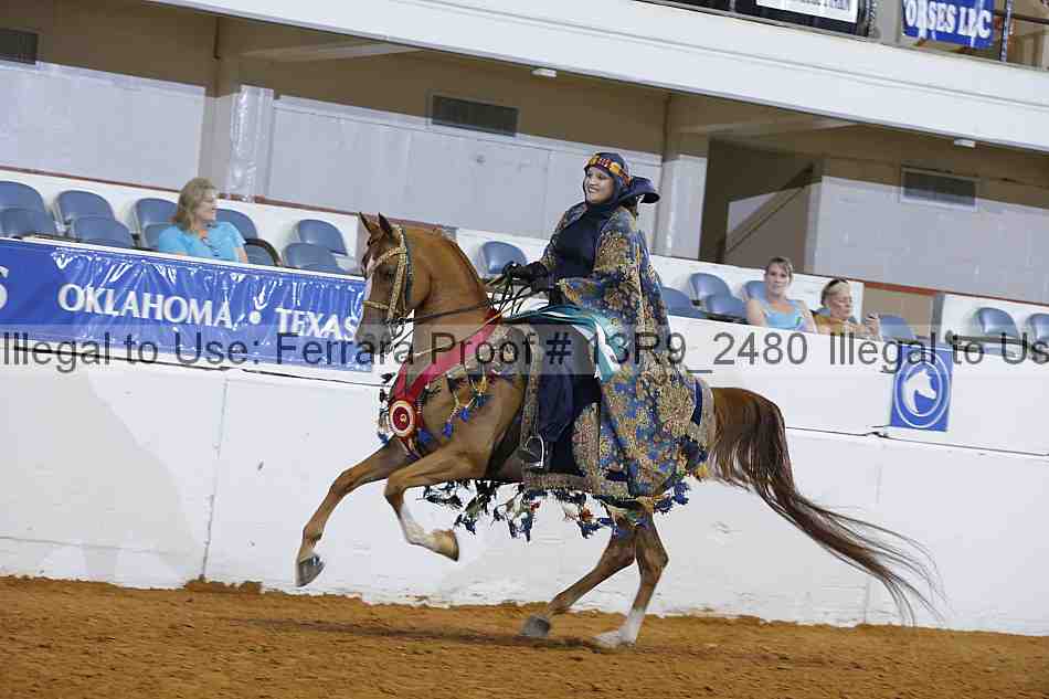 Proof 13r9_2480