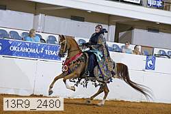13r9_2480 proof