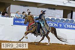 13r9_2481 proof