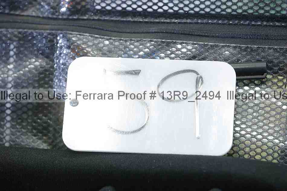 Proof 13r9_2494