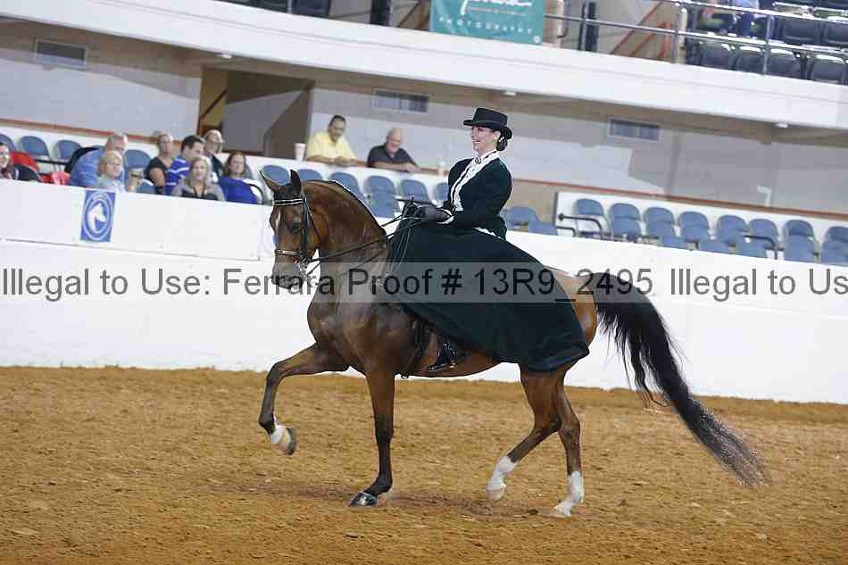 Proof 13r9_2495
